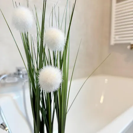 Casa Grande Mit 3 Apartmán *